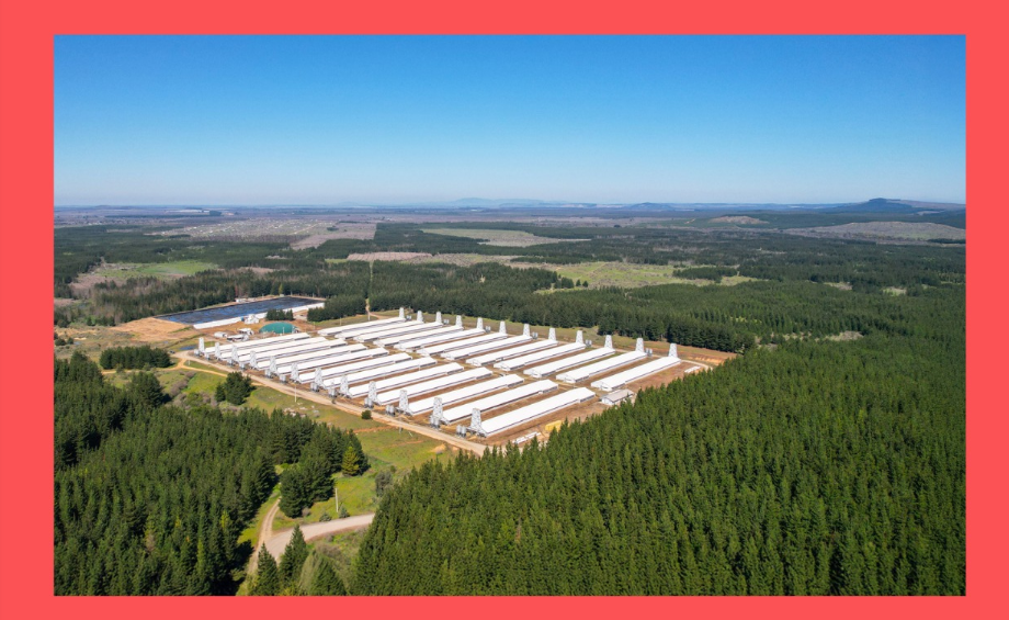 Bioseguridad sin fronteras: la PPA y la importancia de anticiparse en un mundo interconectado